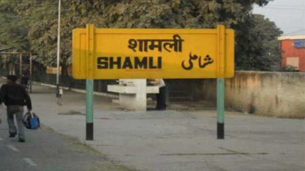 Shamli Delhi train timing